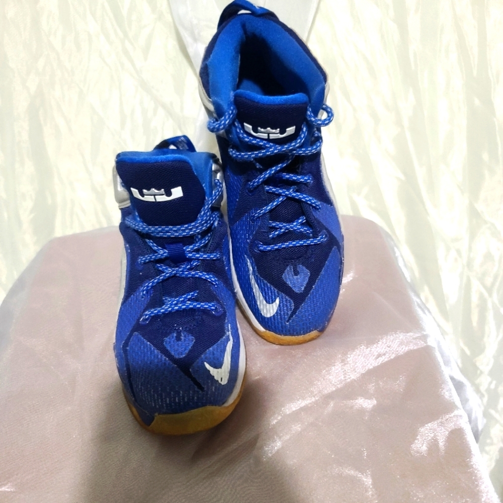 Nike LeBron 12 GS Sneakers sz: 2y